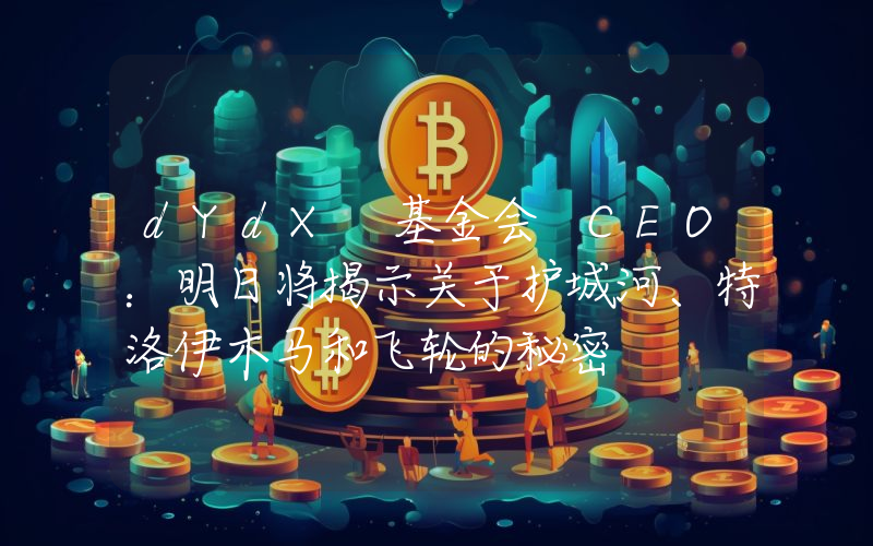 dYdX 基金会 CEO:明日将揭示关于护城河、特洛伊木马和飞轮的秘密