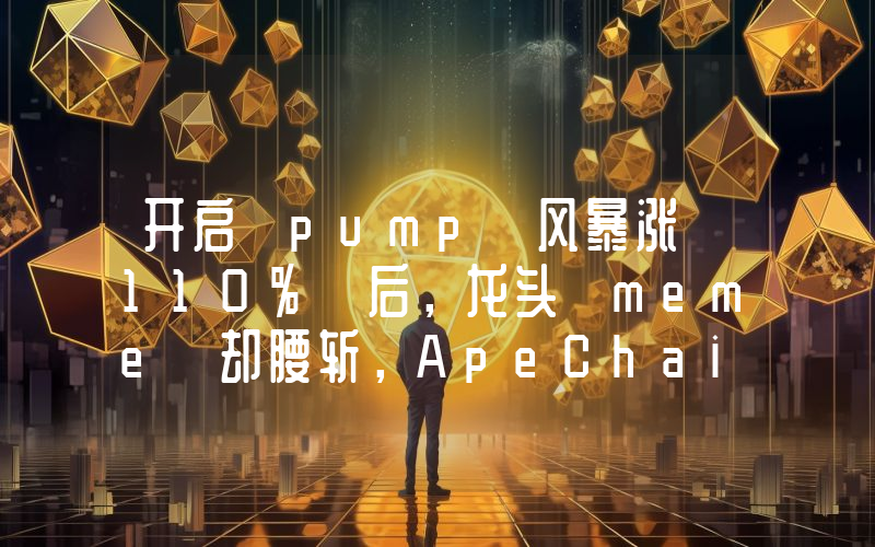 开启 pump 风暴涨 110% 后,龙头 meme 却腰斩,ApeChain 还值得期待吗?