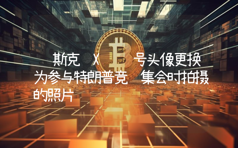 马斯克 X 账号头像更换为参与特朗普竞选集会时拍摄的照片