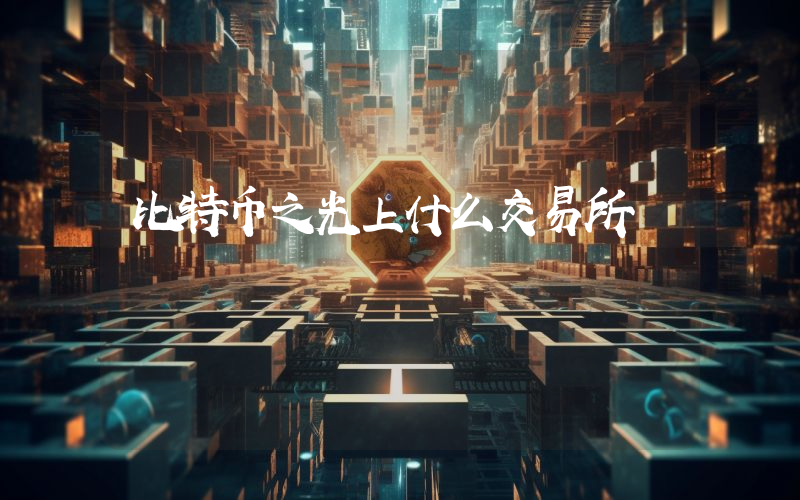 比特币之光上什么交易所