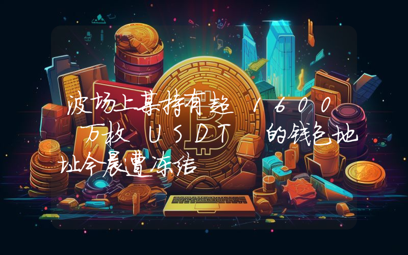 波场上某持有超 1600 万枚 USDT 的钱包地址今晨遭冻结
