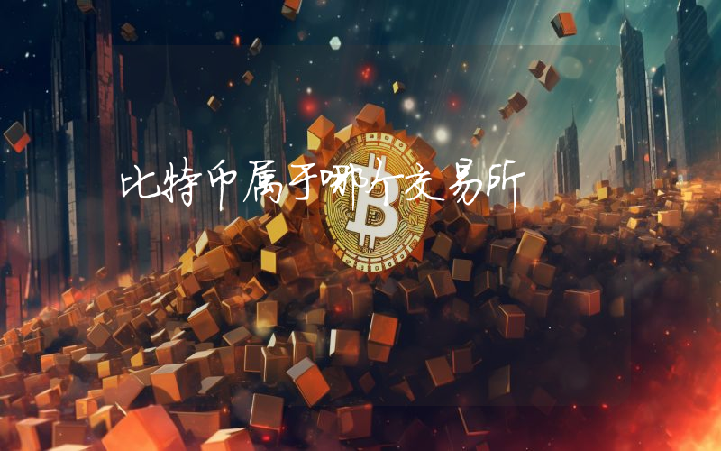 比特币属于哪个交易所
