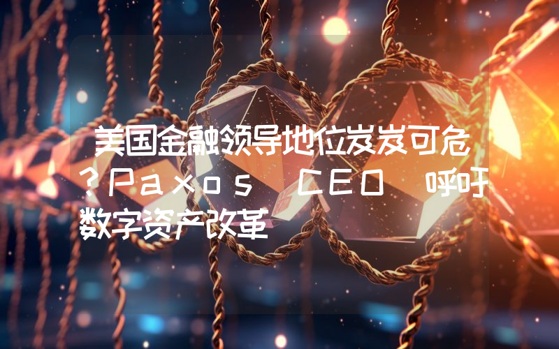 美国金融领导地位岌岌可危?Paxos CEO 呼吁数字资产改革