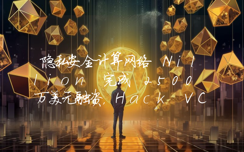 隐私安全计算网络 Nillion 完成 2500 万美元融资,Hack VC 领投
