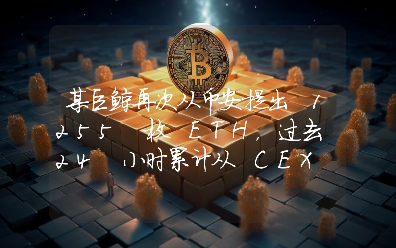 某巨鲸再次从币安提出 1255 枚 ETH,过去 24 小时累计从 CEX 提出 13112 枚 ETH