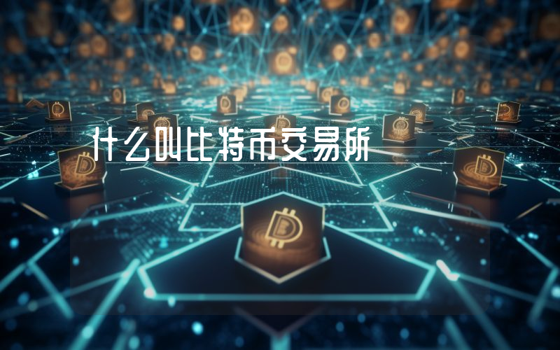 什么叫比特币交易所