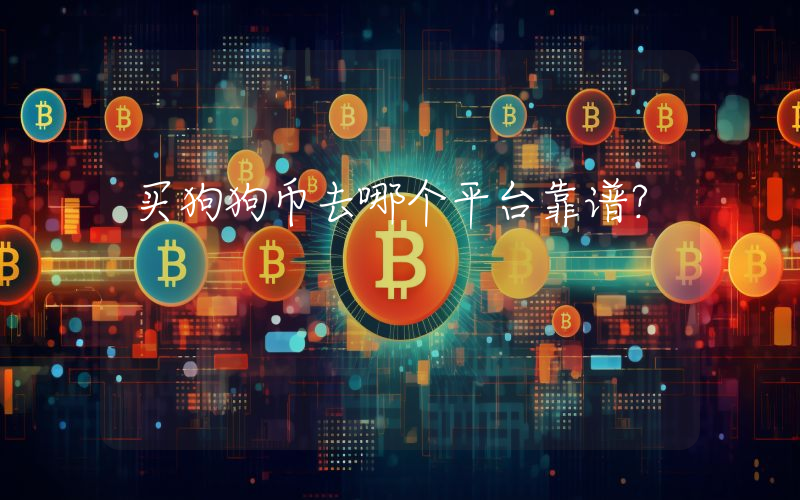 买狗狗币去哪个平台靠谱？