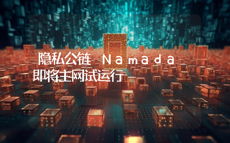 隐私公链 Namada 即将主网试运行
