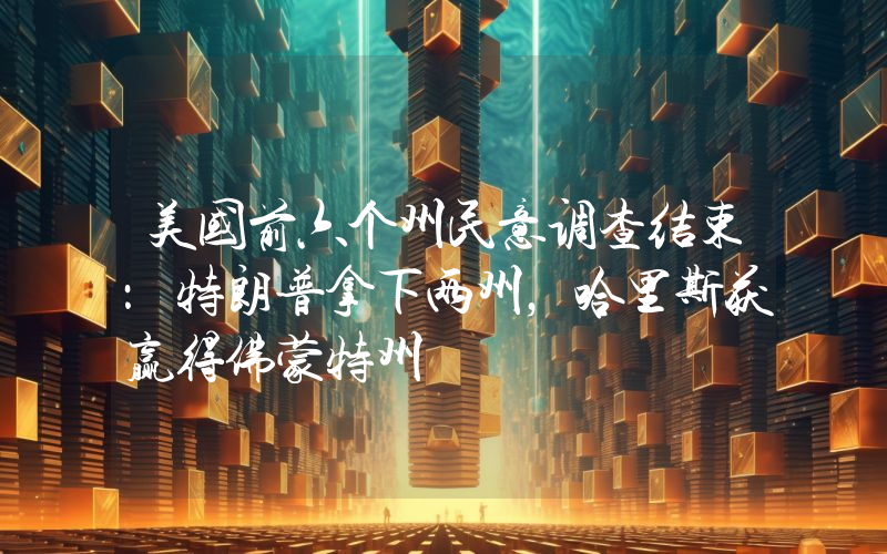 美国前六个州民意调查结束:特朗普拿下两州,哈里斯获赢得佛蒙特州
