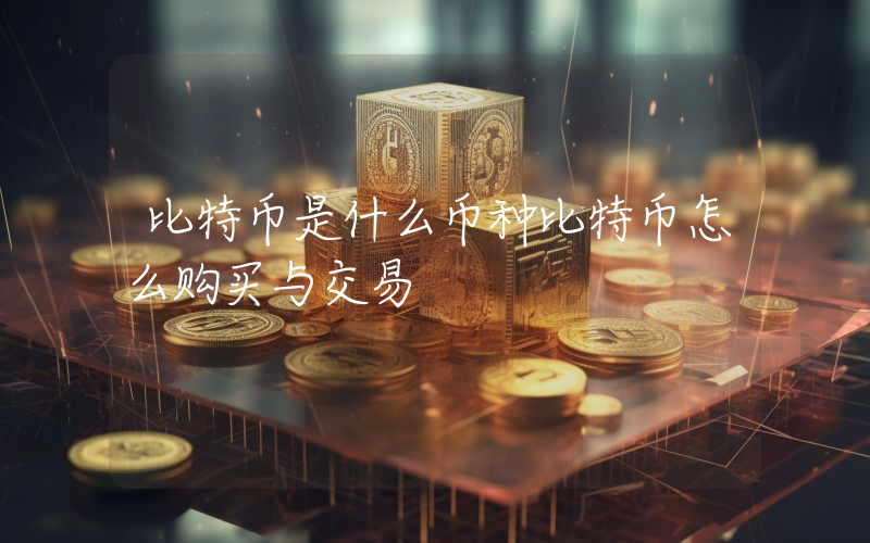 比特币是什么币种比特币怎么购买与交易