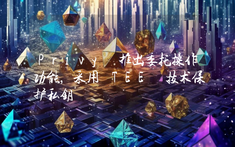 Privy 推出委托操作功能,采用 TEE 技术保护私钥