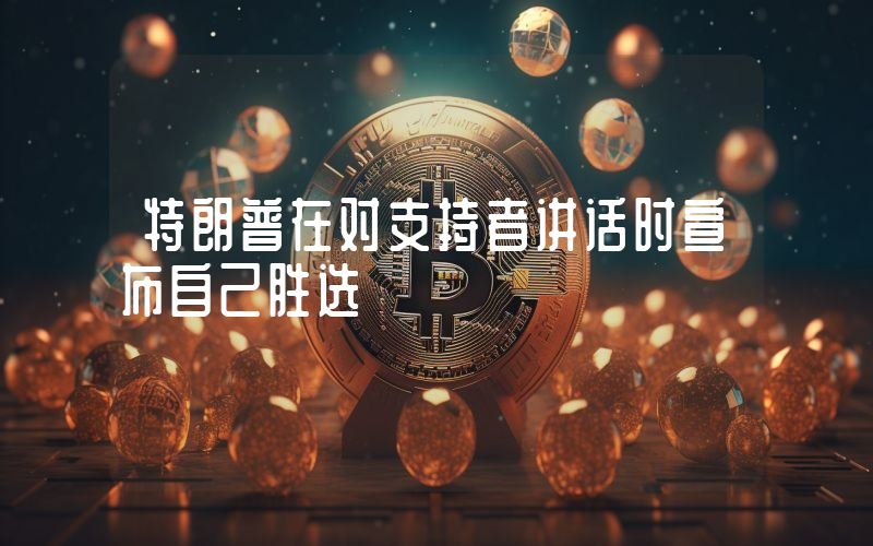 特朗普在对支持者讲话时宣布自己胜选