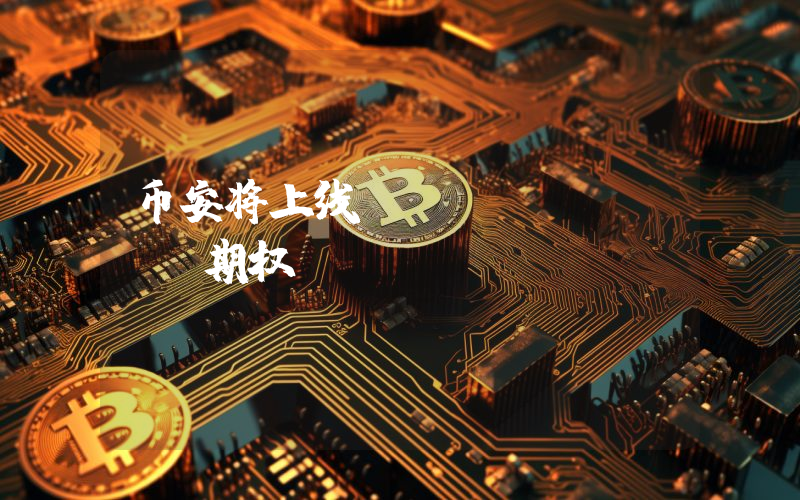 币安将上线 SOLUSDT 期权
