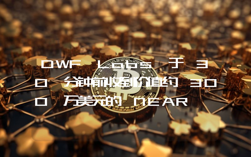 DWF Labs 于 30 分钟前收到价值约 300 万美元的 NEAR