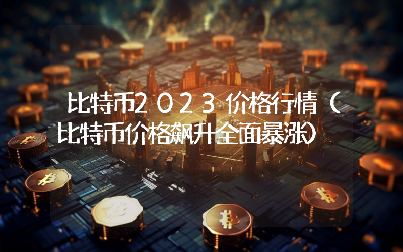 比特币2023价格行情（比特币价格飙升全面暴涨）