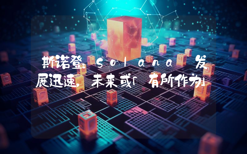斯诺登:Solana 发展迅速,未来或「有所作为」