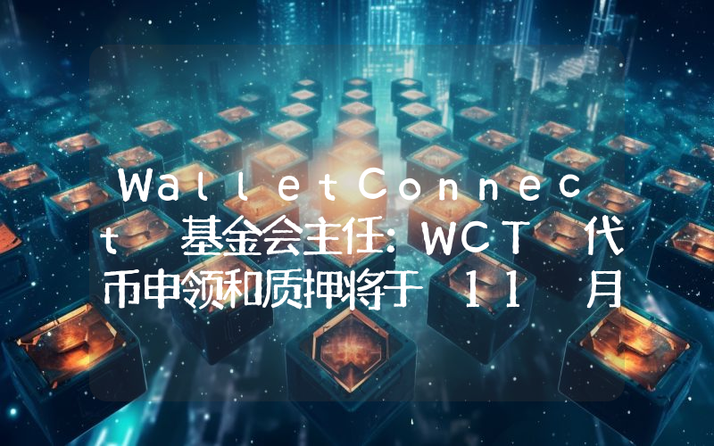 WalletConnect 基金会主任:WCT 代币申领和质押将于 11 月 26 日上线