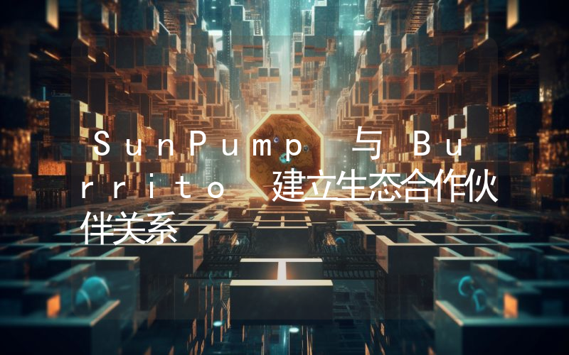 SunPump 与 Burrito 建立生态合作伙伴关系