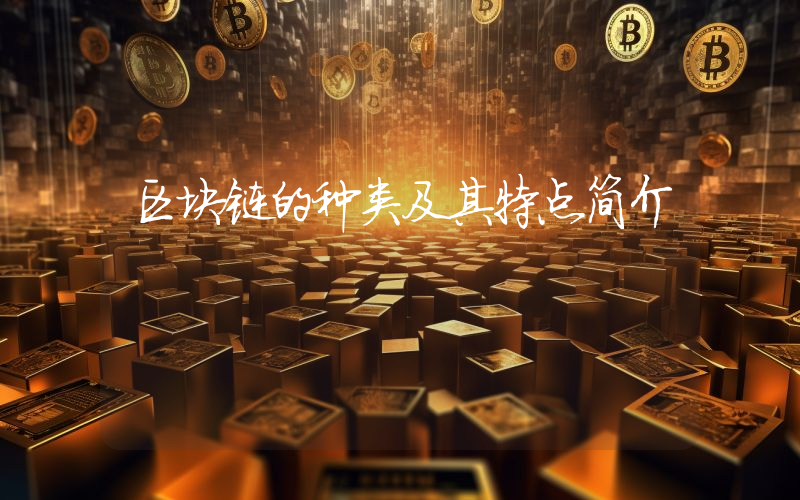 区块链的种类及其特点简介