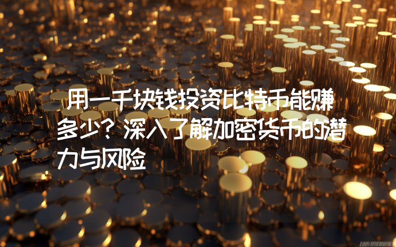 用一千块钱投资比特币能赚多少?深入了解加密货币的潜力与风险