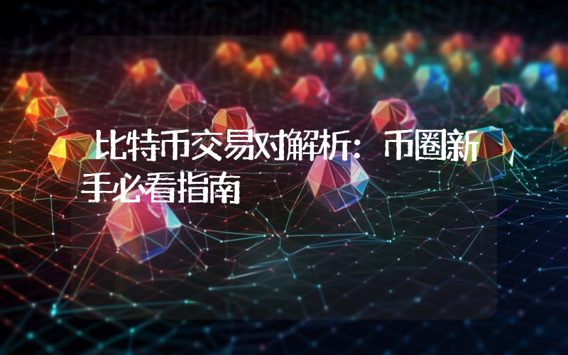 比特币交易对解析:币圈新手必看指南
