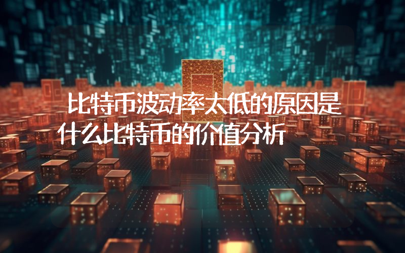 比特币波动率太低的原因是什么比特币的价值分析