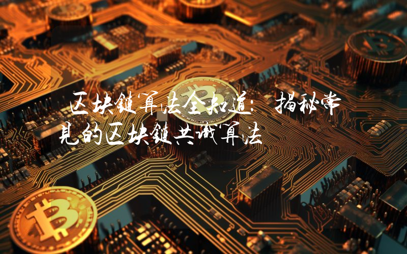 区块链算法全知道:揭秘常见的区块链共识算法