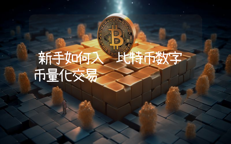 新手如何入门比特币数字货币量化交易