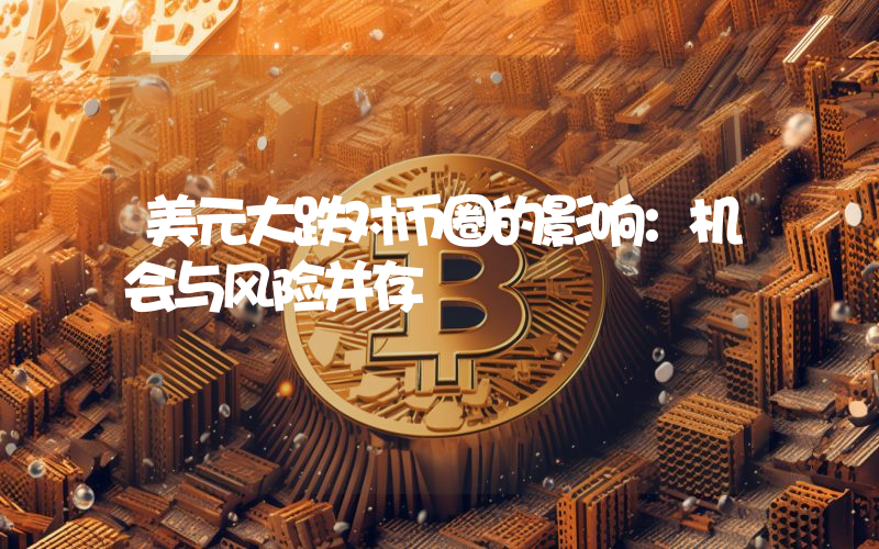 美元大跌对币圈的影响:机会与风险并存