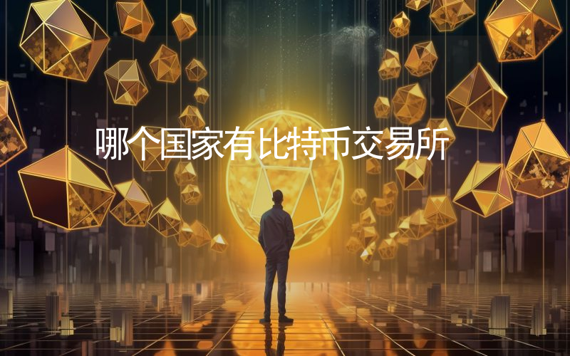 哪个国家有比特币交易所