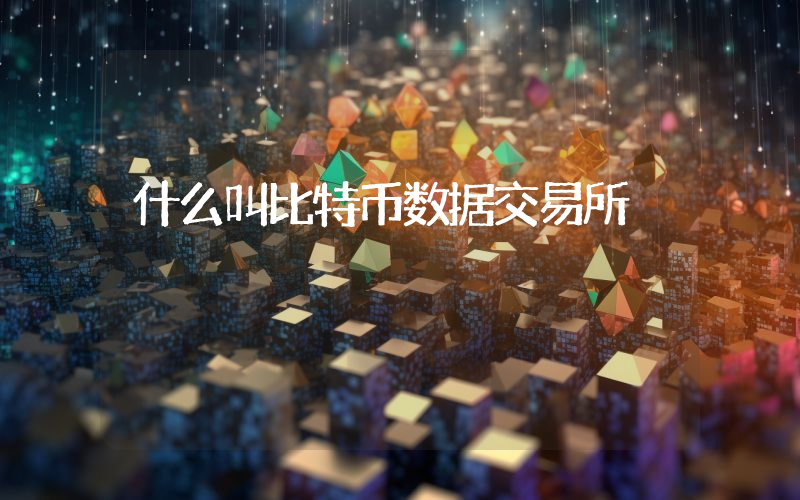 什么叫比特币数据交易所