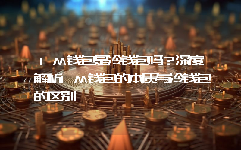 IM钱包是冷钱包吗?深度解析IM钱包的本质与冷钱包的区别