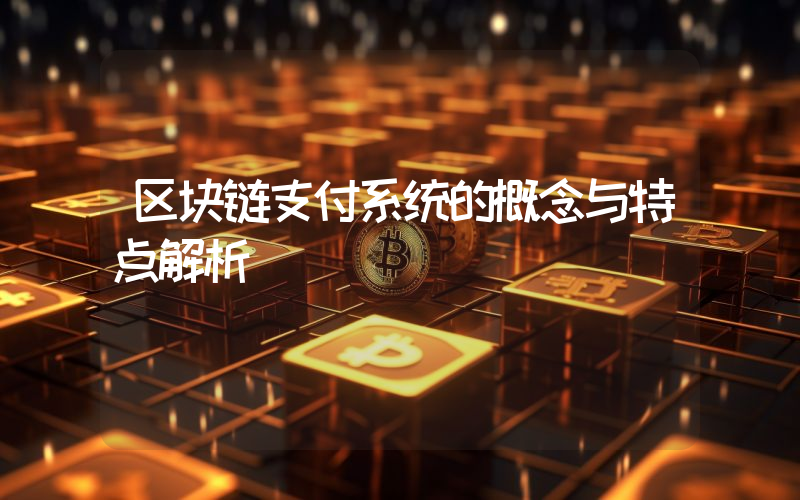 区块链支付系统的概念与特点解析
