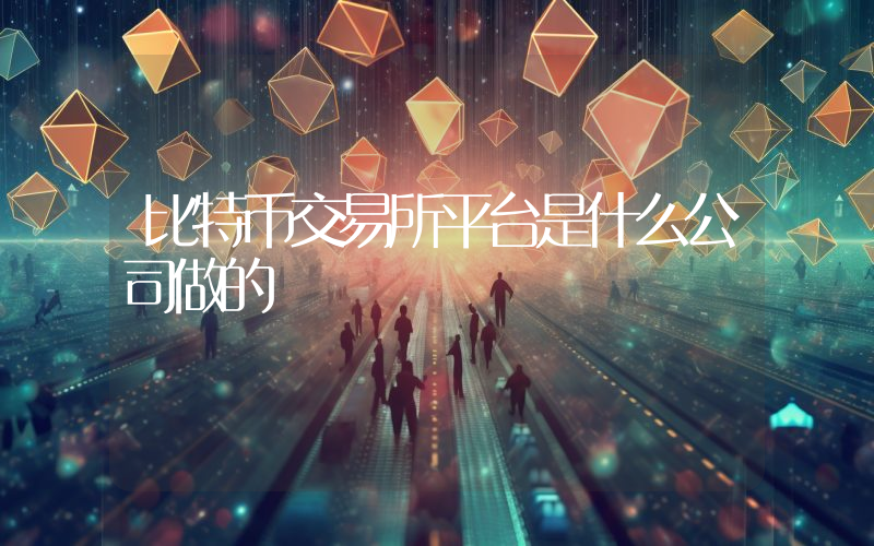 比特币交易所平台是什么公司做的