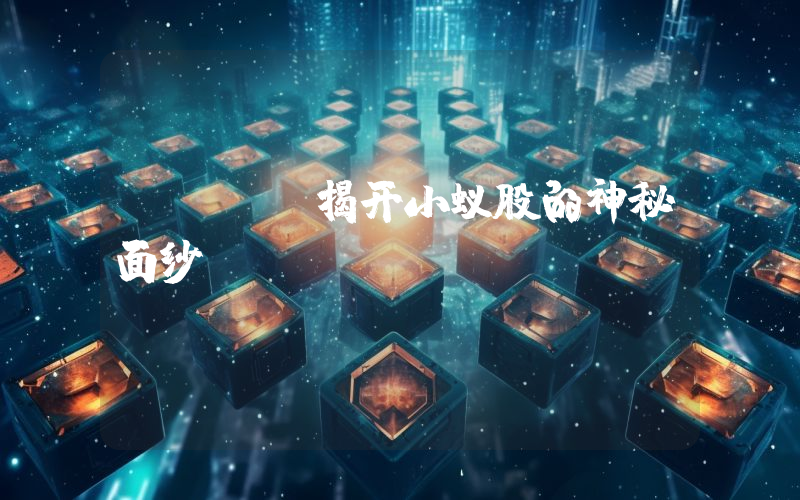 NEO:揭开小蚁股的神秘面纱