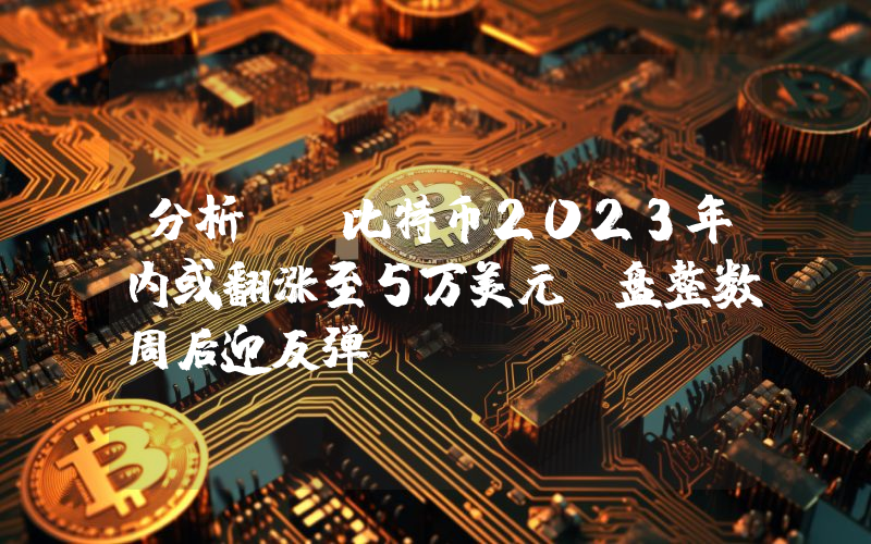 分析师：比特币2023年内或翻涨至5万美元 盘整数周后迎反弹