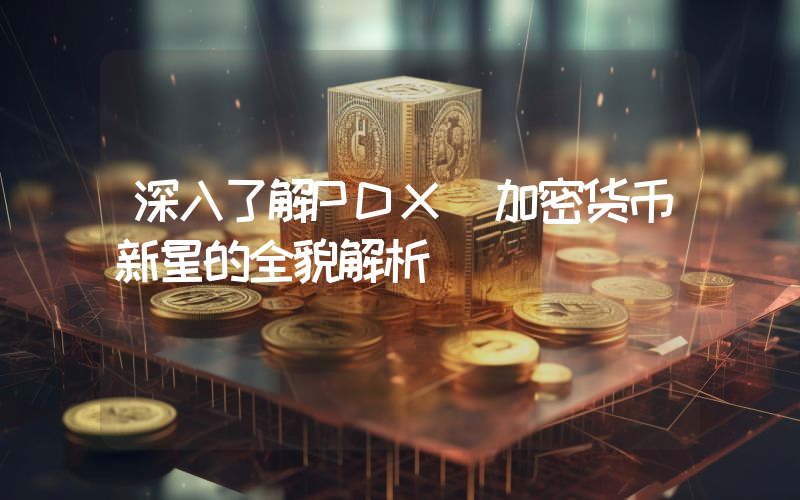 深入了解PDX 加密货币新星的全貌解析