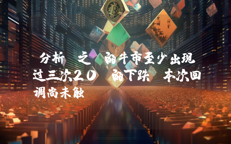 分析:之前的牛市至少出现过三次20%的下跌,本次回调尚未触及