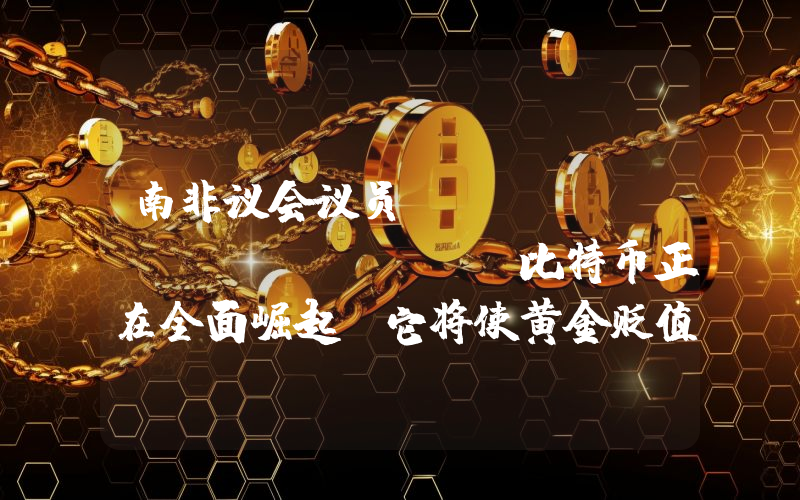 南非议会议员Mzwanele Manyi:比特币正在全面崛起,它将使黄金贬值