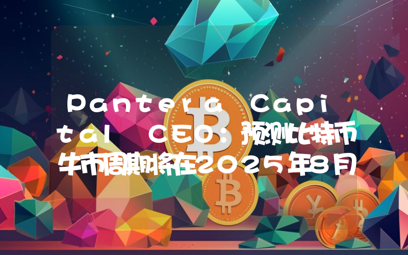 Pantera Capital CEO:预测比特币牛市周期将在2025年8月达到顶峰
