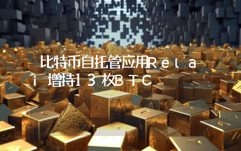 比特币自托管应用Relai增持13枚BTC