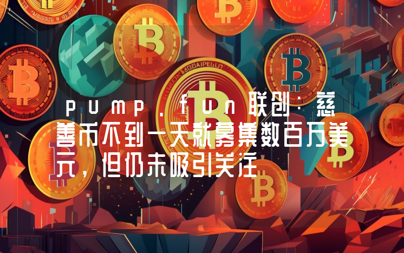 pump.fun联创:慈善币不到一天就募集数百万美元,但仍未吸引关注