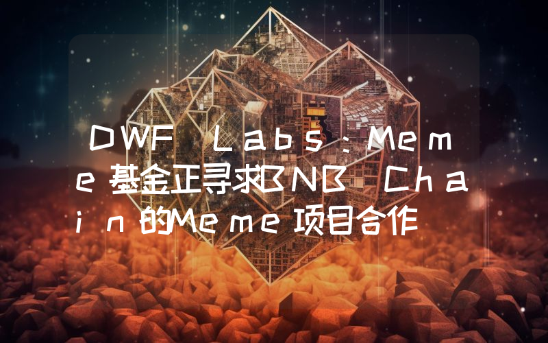 DWF Labs:Meme基金正寻求BNB Chain的Meme项目合作
