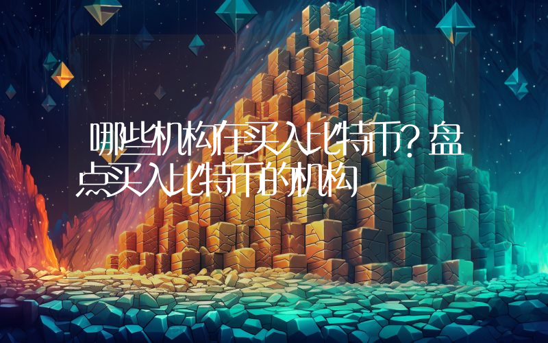 哪些机构在买入比特币?盘点买入比特币的机构