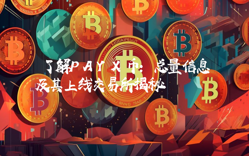 了解PAYX币:总量信息及其上线交易所揭秘