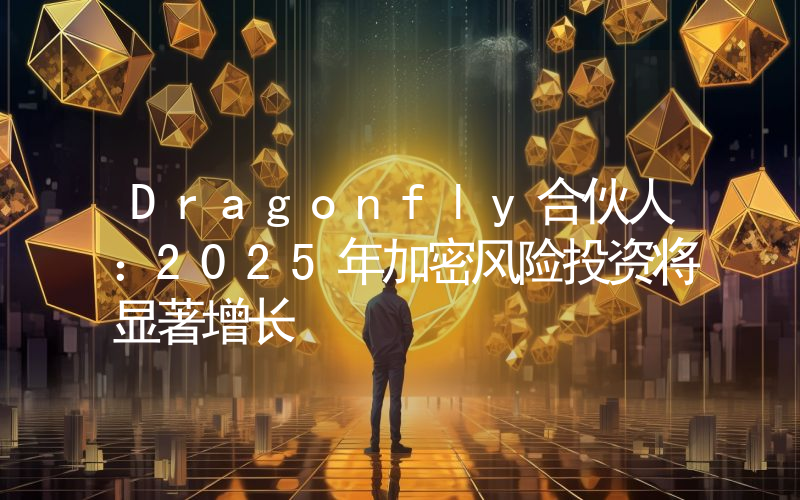 Dragonfly合伙人:2025年加密风险投资将显著增长