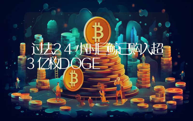 过去24小时巨鲸已购入超3亿枚DOGE