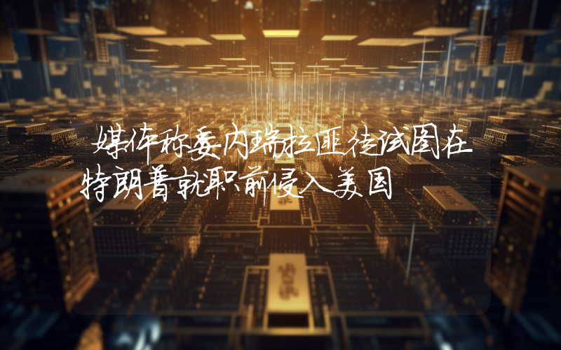 媒体称委内瑞拉匪徒试图在特朗普就职前侵入美国