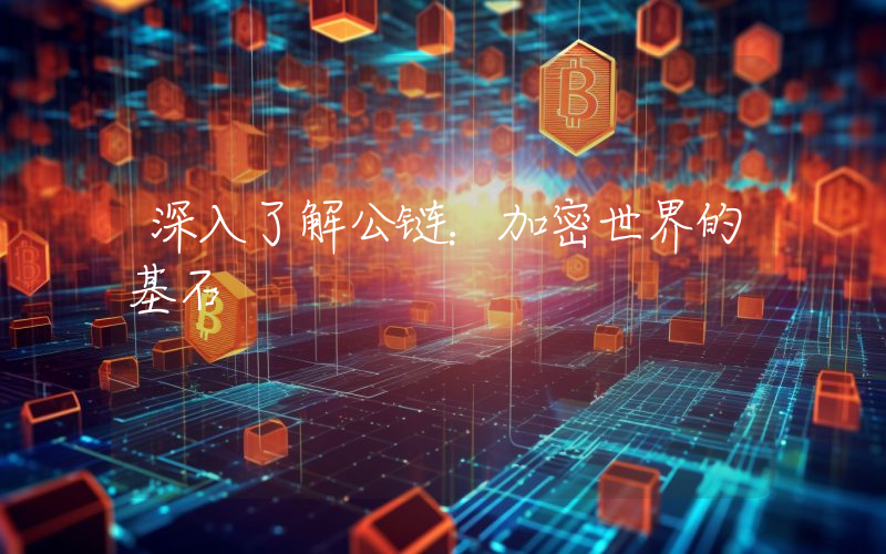 深入了解公链:加密世界的基石