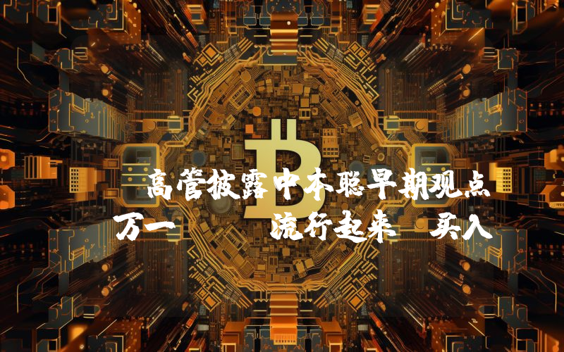 Galaxy Digital高管披露中本聪早期观点:万一BTC流行起来,买入一些可能是有意义的